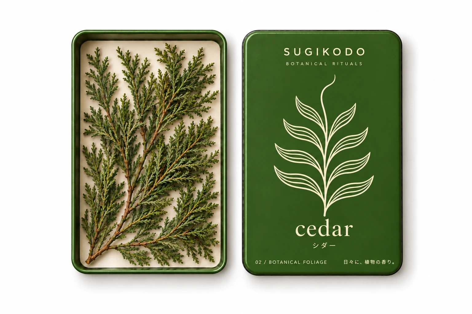 cedar — SUGIKODO